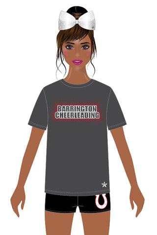 Unisex Tee Shirt in Dark Gray- Screen Print - Barrington High School Cheer