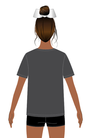 Unisex Tee Shirt in Dark Gray- Screen Print - Barrington High School Cheer