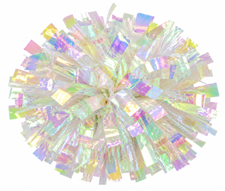 Individual 4 inch -New Rainbow Pom